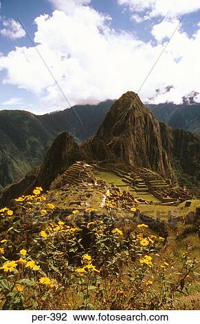 Incan Ruins at Machu Picchu Peru View Large Photo Image Stock Image - Incan Ruins at Machu Picchu Peru. Fotosearch