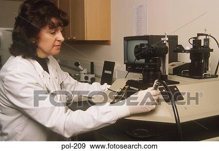 Laboratory Technician Testing Evidence UK View Large Photo Image Stock Photo - Laboratory Technician Testing Evidence UK. Fotosearch