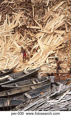 Stock Image - Loggers at Work Peruvian Rainforest Peru. Fotosearch