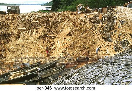 Logging Iquitos Amazon Peru View Large Photo Image Stock Photograph - Logging Iquitos Amazon Peru. Fotosearch