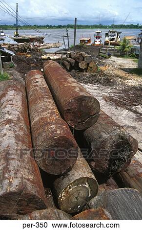 Logs at Iquitos Amazon Peru View Large Photo Image Stock Image - Logs at Iquitos Amazon Peru. Fotosearch