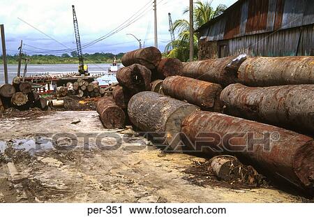 Logs at Iquitos Amazon Peru View Large Photo Image Stock Image - Logs at Iquitos Amazon Peru. Fotosearch