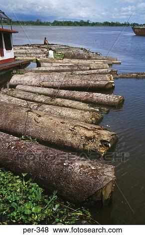 Stock Photo - Logs at Iquitos Amazon Peru. Fotosearch
