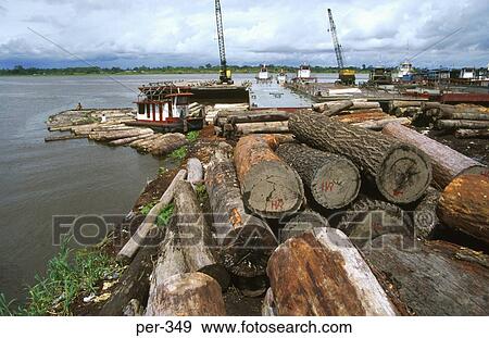 Logs at Iquitos Amazon Peru View Large Photo Image Stock Photo - Logs at Iquitos Amazon Peru. Fotosearch