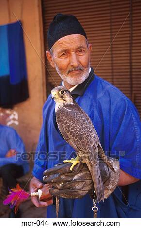 Man with Falcon Marrakesh Morocco View Large Photo Image Picture - Man with Falcon Marrakesh Morocco. Fotosearch