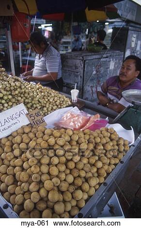 Market Stall Little India Kuala Lumpur Malaysia View Large Photo Image Stock Image - Market Stall Little India Kuala Lumpur Malaysia. Fotosearch