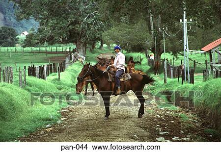 Mounted Rancher on Dirt Track Chiriqui Panama View Large Photo Image Picture - Mounted Rancher on Dirt Track Chiriqui Panama. Fotosearch