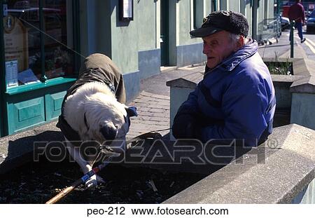 Old Man with Dog on Public Bench View Large Photo Image Stock Image - Old Man with Dog on Public Bench. Fotosearch