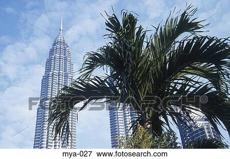Stock Photo - Palm Tree and the Petronas Towers Kuala Lumpur Malaysia. Fotosearch