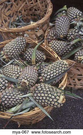 Stock Photo - Pineapples Little India Kuala Lumpur Malaysia. Fotosearch