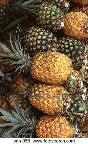 Stock Photo - Pineapples on Sale in Panama. Fotosearch
