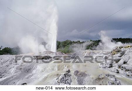 Picture - Pohutu Geyser Erupting New Zealand. Fotosearch