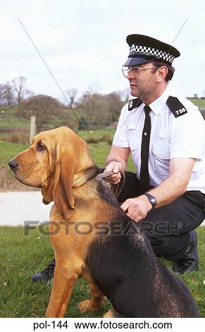 Police Dog and Handler View Large Photo Image Picture - Police Dog and Handler. Fotosearch