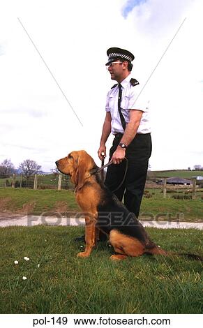 Police Dog and Handler View Large Photo Image Stock Photo - Police Dog and Handler. Fotosearch