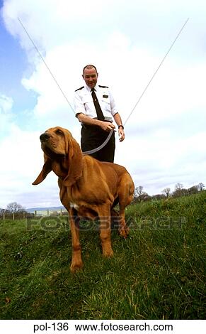Stock Photograph - Police Dog and Handler. Fotosearch