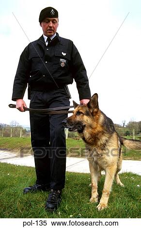 Stock Photography - Police Dog Walking with Handler. Fotosearch