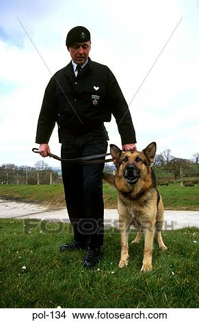 Picture - Police Dog with Handler. Fotosearch