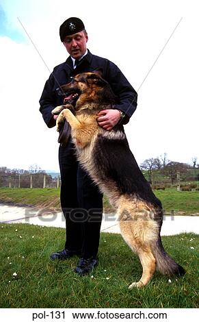 Stock Image - Police Dog with Handler. Fotosearch