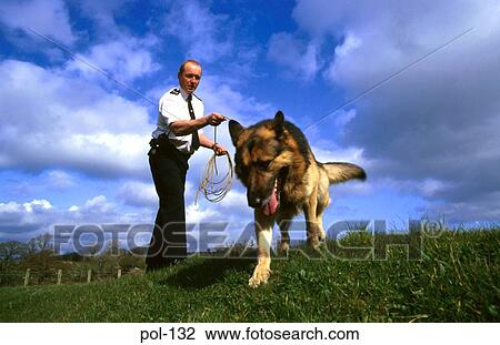 Police Dog with Handler View Large Photo Image Stock Image - Police Dog with Handler. Fotosearch
