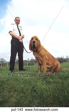 Police Dog with Handler View Large Photo Image Stock Image - Police Dog with Handler. Fotosearch