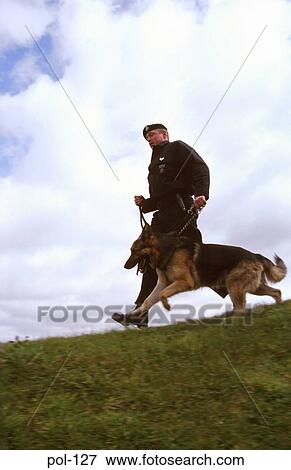 Police Dog with Handler View Large Photo Image Stock Photo - Police Dog with Handler. Fotosearch