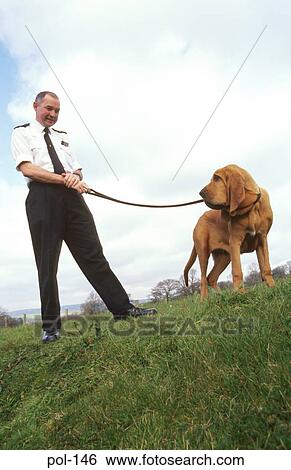 Police Dog with Handler View Large Photo Image Stock Photograph - Police Dog with Handler. Fotosearch