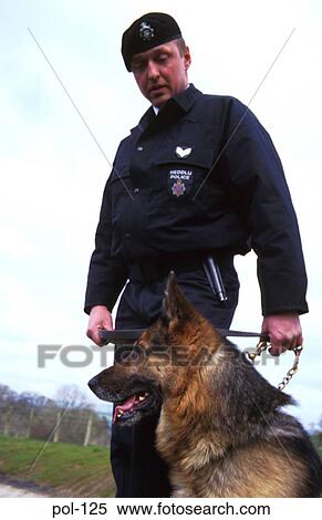 Stock Photography - Police Dog with Handler. Fotosearch