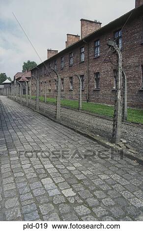 Prisoners' Blocks and Barbed Wire Fence Auschwitz Poland View Large Photo Image Stock Photo - Prisoners' Blocks and Barbed Wire Fence Auschwitz Poland. Fotosearch