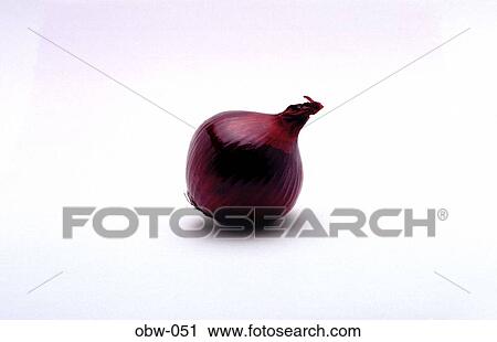 Purple Spanish Onion View Large Photo Image Stock Image - Purple Spanish Onion. Fotosearch