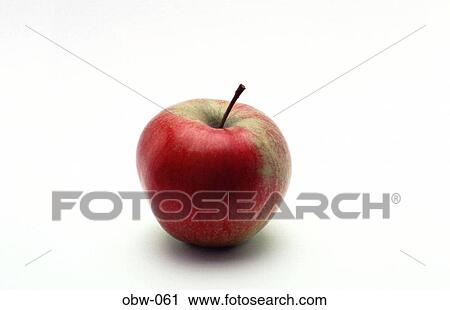 Red and Green Apple View Large Photo Image Stock Image - Red and Green Apple. Fotosearch