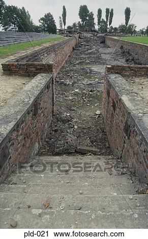 Remains of Gas Chamber Auschwitz-Birkenau Poland View Large Photo Image Stock Image - Remains of Gas Chamber Auschwitz-Birkenau Poland. Fotosearch