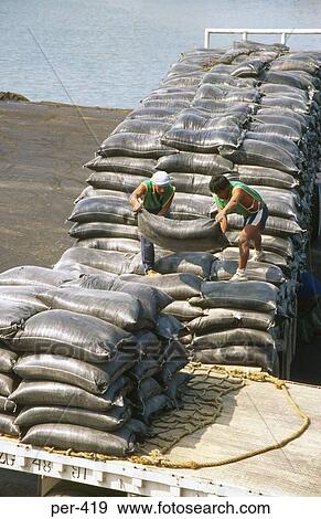 Sacks being Loaded by Hand Lima Peru View Large Photo Image Stock Photo - Sacks being Loaded by Hand Lima Peru. Fotosearch