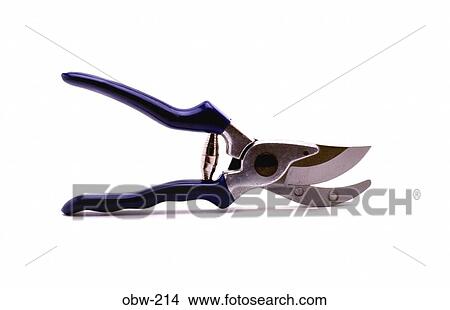 Secateurs View Large Photo Image Picture - Secateurs. Fotosearch