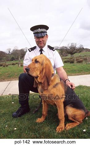 Sitting Police Dog with Kneeling Handler View Large Photo Image Stock Image - Sitting Police Dog with Kneeling Handler. Fotosearch