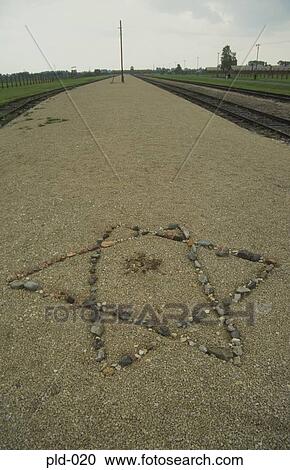 Star of David Auschwitz-Birkenau Poland View Large Photo Image Stock Image - Star of David Auschwitz-Birkenau Poland. Fotosearch