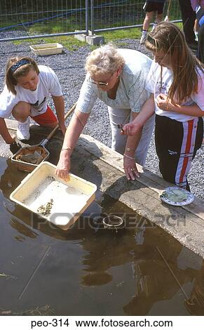 Teacher Showing Young Girls Pond Life Wales View Large Photo Image Picture - Teacher Showing Young Girls Pond Life Wales. Fotosearch