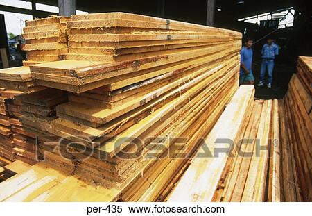 Timber at Mill Iquitos Amazon Peru View Large Photo Image Stock Photography - Timber at Mill Iquitos Amazon Peru. Fotosearch