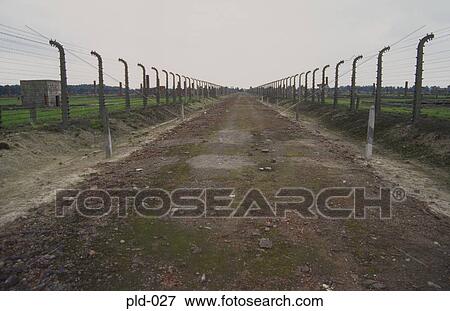 Track Between Barbed Wire Fences Auschwitz-Birkenau Poland View Large Photo Image Stock Photo - Track Between Barbed Wire Fences Auschwitz-Birkenau Poland. Fotosearch