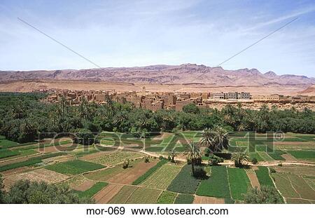 Stock Photo - View over Village Between Oasis and Desert Morocco. Fotosearch