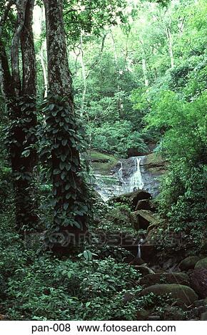 Stock Photo - Waterfall in a Rainforest Stream Panama. Fotosearch