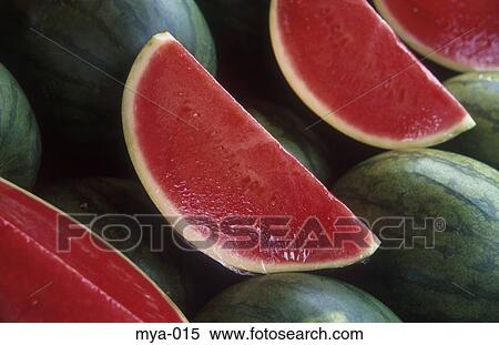 Watermelons Kuala Lumpur Malaysia View Large Photo Image Stock Photography - Watermelons Kuala Lumpur Malaysia. Fotosearch