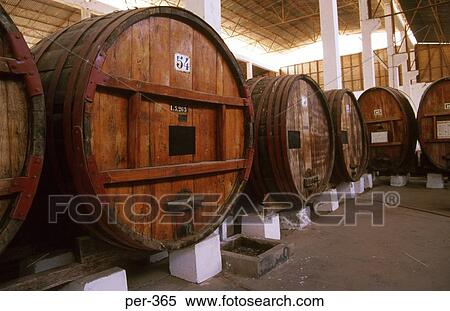 Wine Casks Tacama Vineyard Ica Peru View Large Photo Image Stock Photography - Wine Casks Tacama Vineyard Ica Peru. Fotosearch