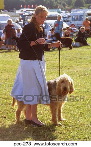 Stock Photo - Woman and Dog at Dog Show. Fotosearch