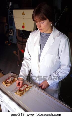 Woman Working on Food Production Line View Large Photo Image Stock Image - Woman Working on Food Production Line. Fotosearch
