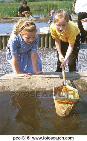 Stock Photograph - Young Children Dipping for Pond Life with Nets Wales. Fotosearch