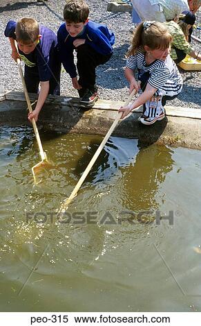 Young Children Dipping for Pond Life with Nets Wales View Large Photo Image Stock Photography - Young Children Dipping for Pond Life with Nets Wales. Fotosearch