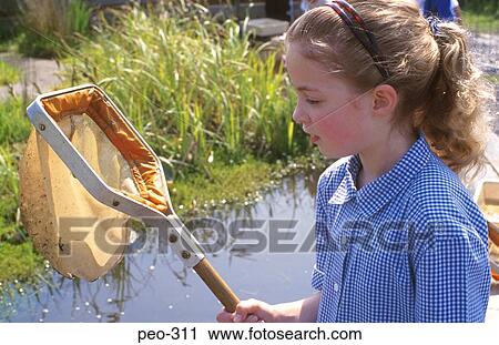 Young Girl Examining Net for Pond Life Wales View Large Photo Image Stock Image - Young Girl Examining Net for Pond Life Wales. Fotosearch