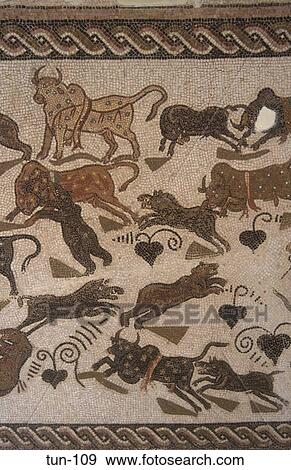 Animal Mosaic Tunisia View Large Photo Image Stock Photo - Animal Mosaic Tunisia. Fotosearch