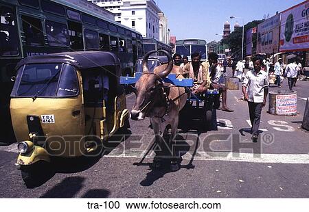 Autorickshaw and Ox Cart Madras India View Large Photo Image Stock Image - Autorickshaw and Ox Cart Madras India. Fotosearch