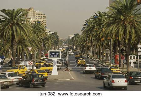 Avenue Mohammed V Tunisia View Large Photo Image Stock Image - Avenue Mohammed V Tunisia. Fotosearch